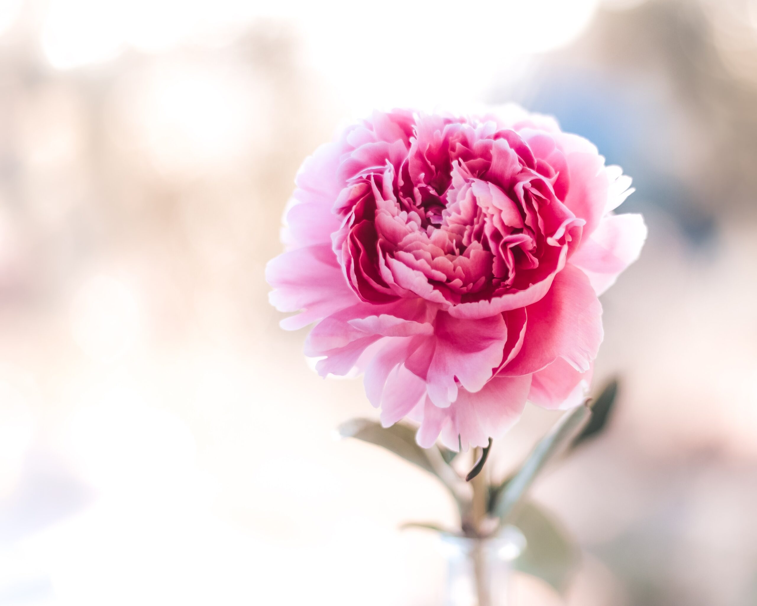 jezelf het niet waard vinden